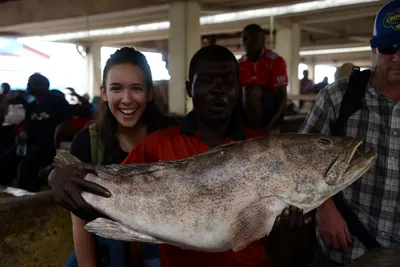 DSC_7584 (Large).JPG